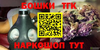 прущий лед Новозыбков